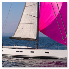 CNB 66 gallery images